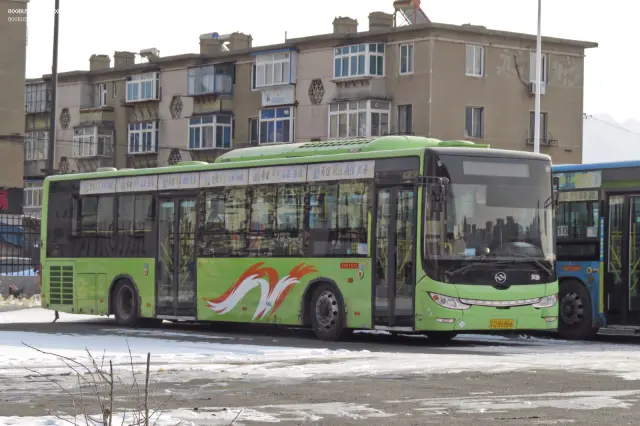 800BUS