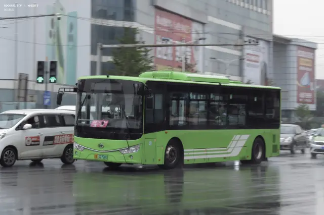 800BUS