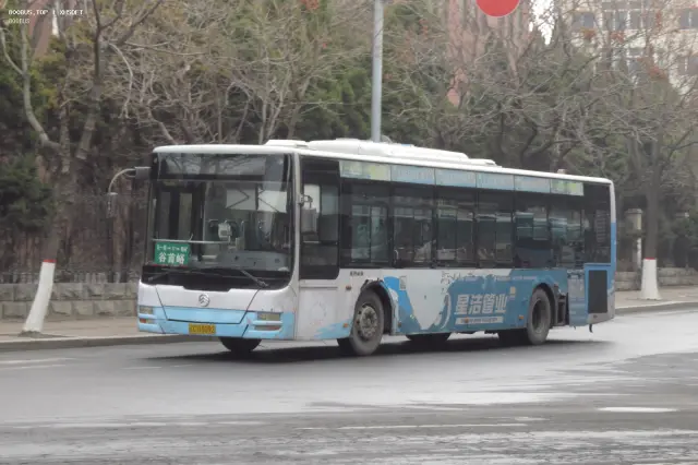 800BUS
