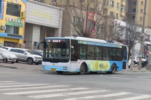 800BUS