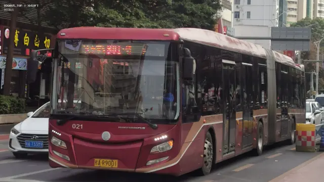 800BUS