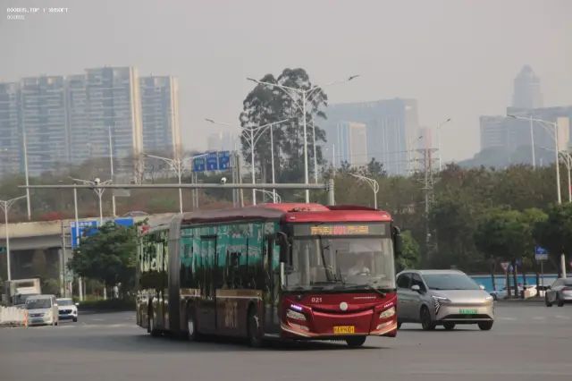 800BUS
