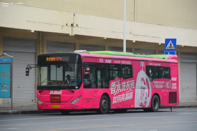 800BUS