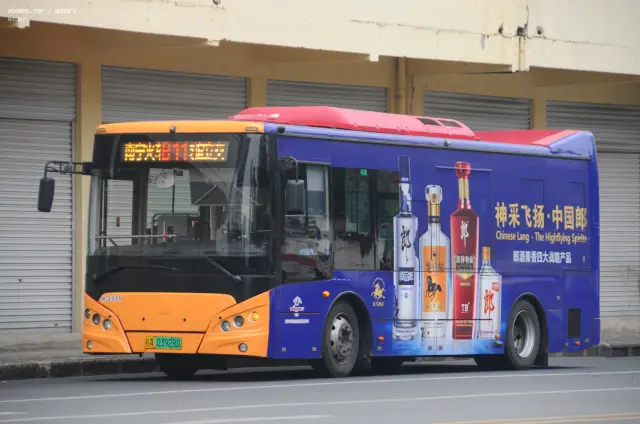 800BUS