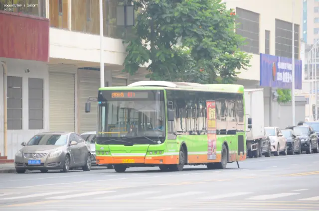 800BUS