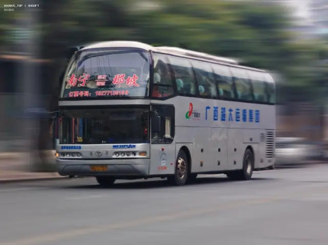800BUS