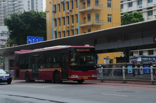 800BUS