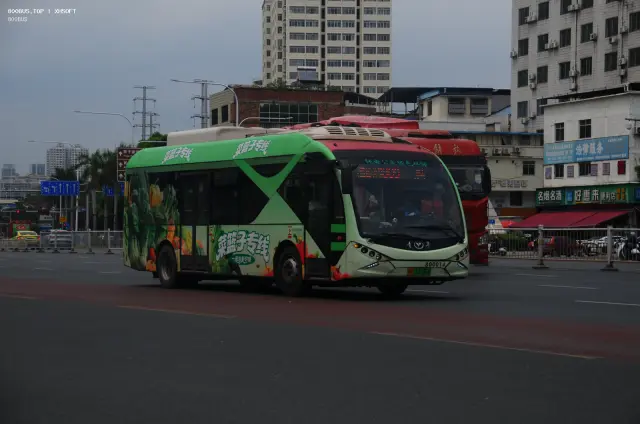 桂A 10926D
