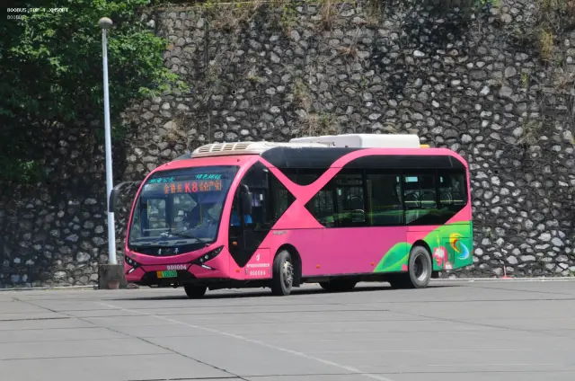 桂A 12610D