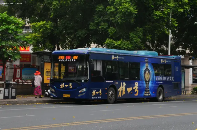 800BUS