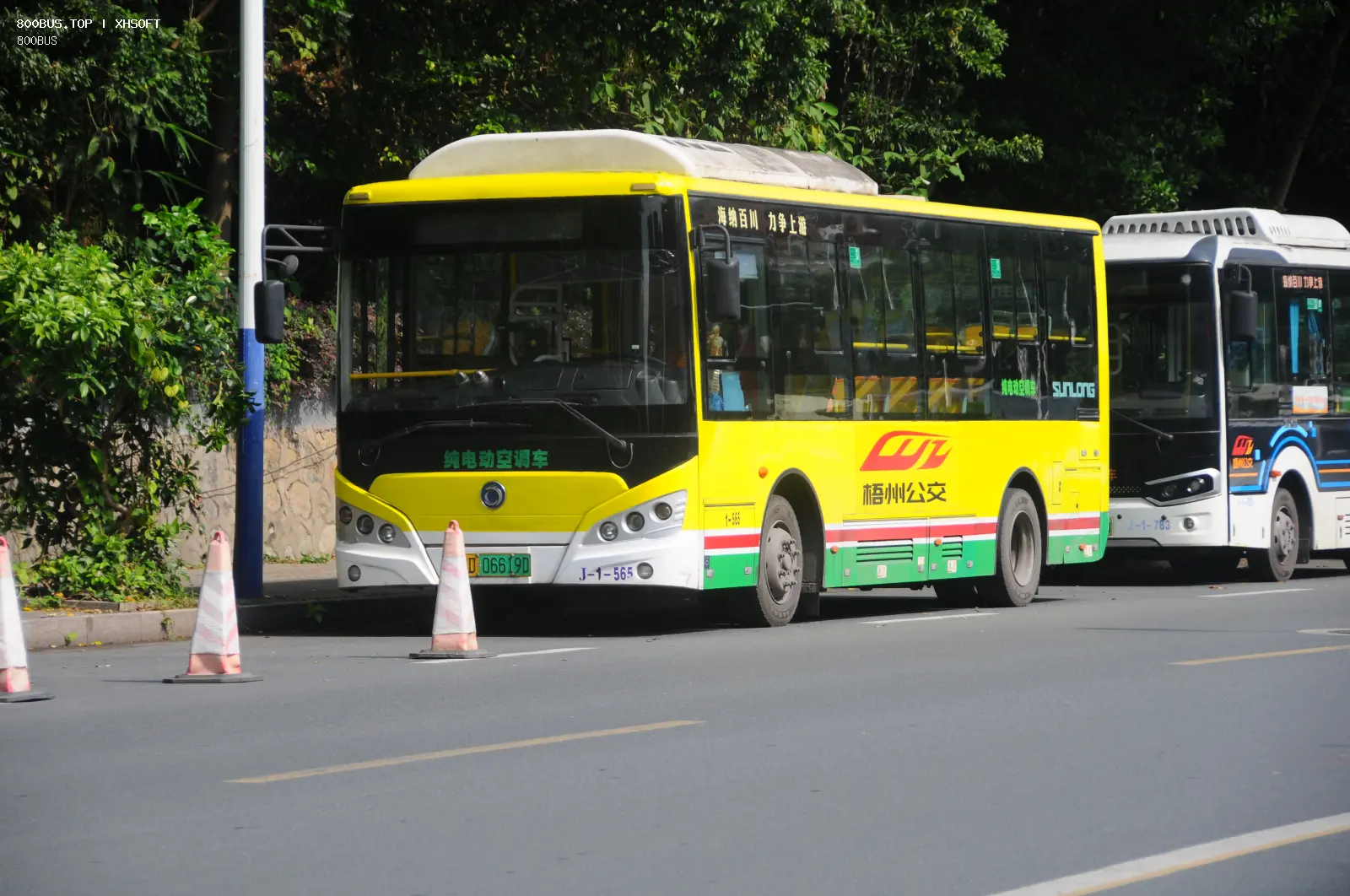 Bus Archive