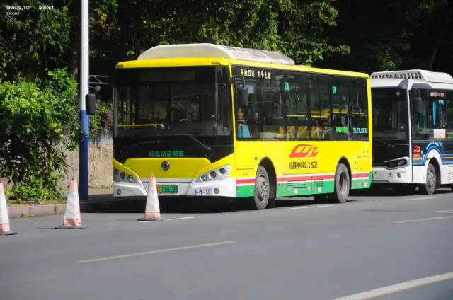 桂D 06619D
