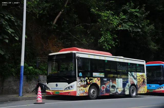 800BUS