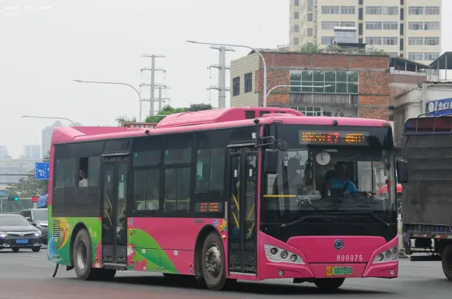 800BUS