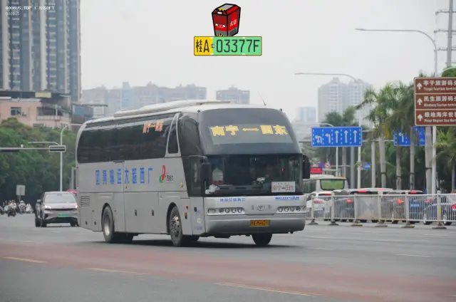 桂A M6601