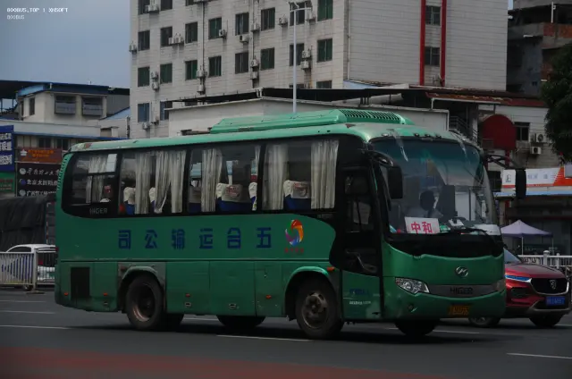 800BUS