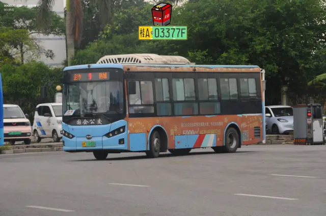 800BUS