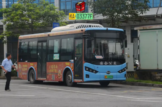 800BUS