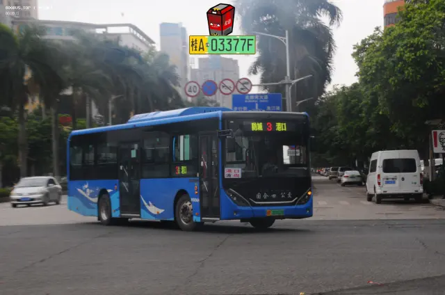 800BUS