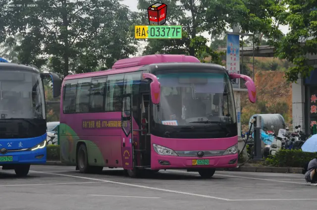 800BUS