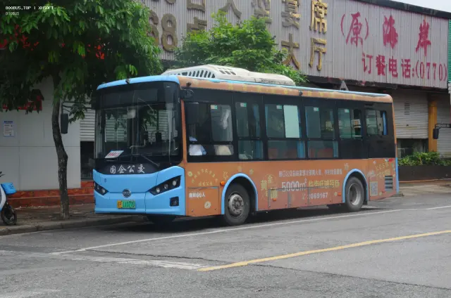800BUS