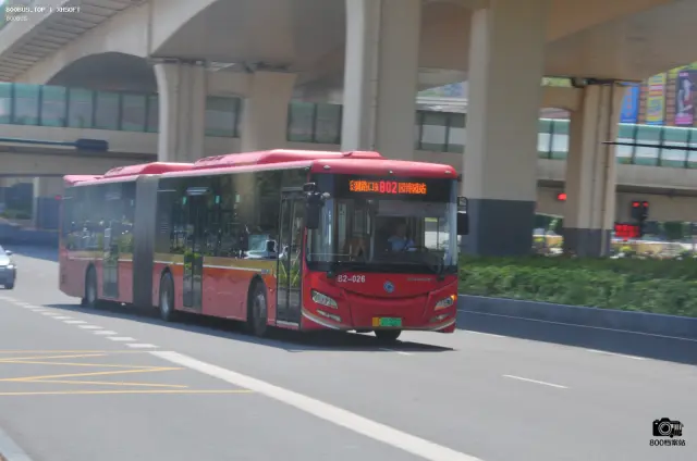 800BUS