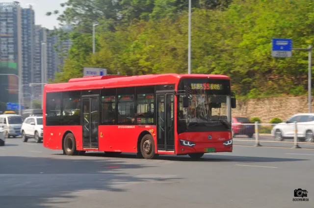 800BUS