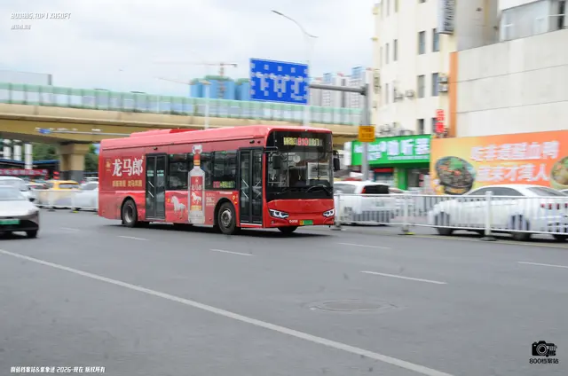 桂A 02087D