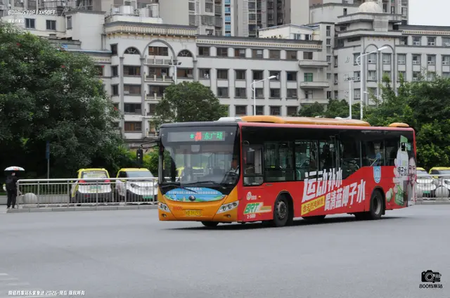 桂B 39293