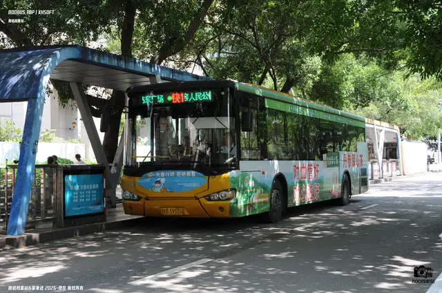桂B 39555