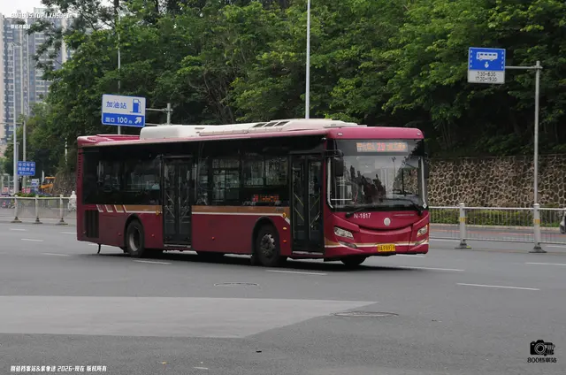 桂A P8919