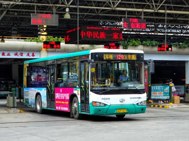 800BUS