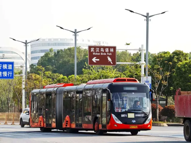 鄂A 519CZ