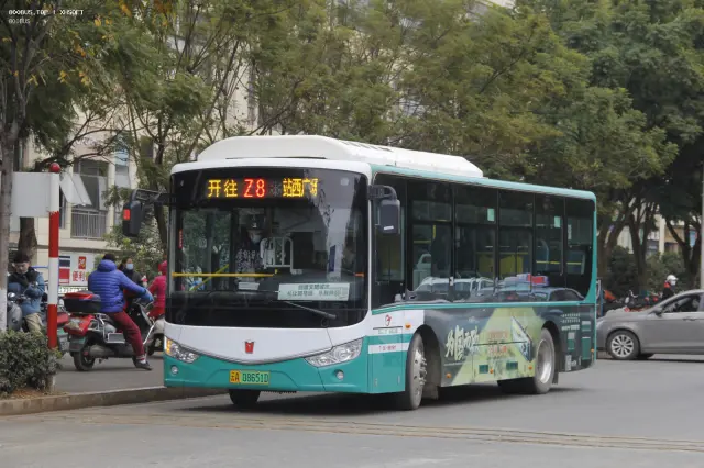800BUS