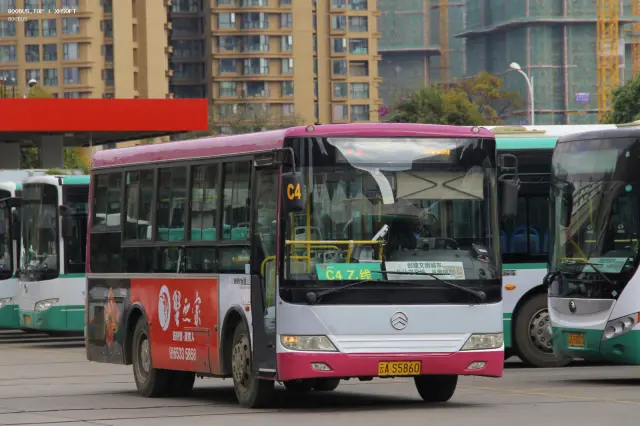 800BUS
