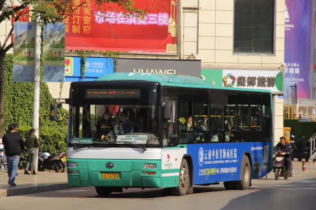 800BUS