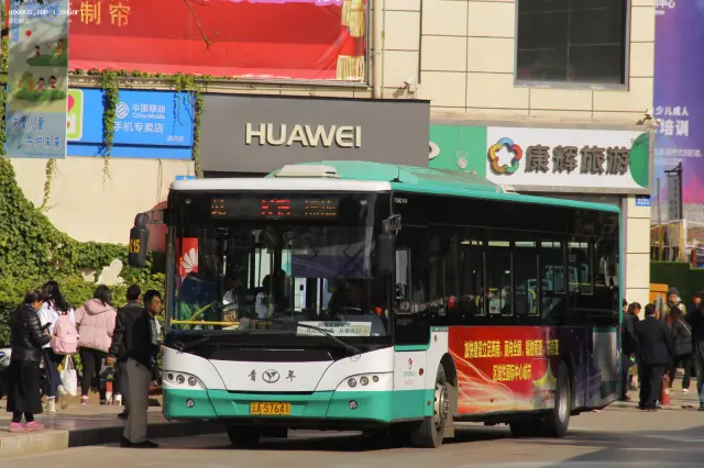 800BUS