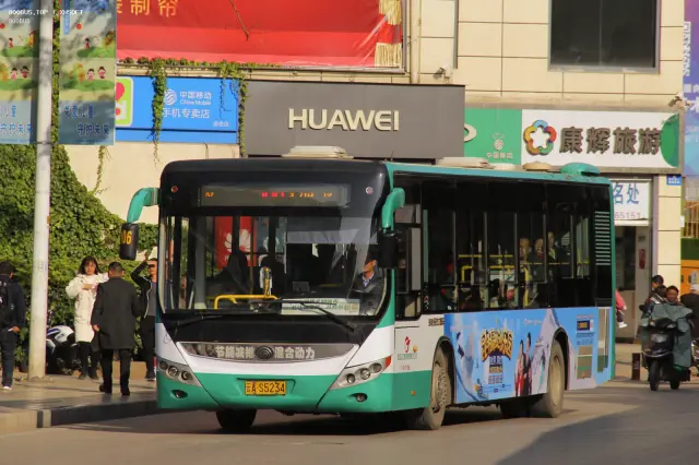 800BUS