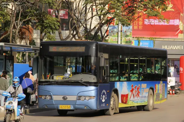 800BUS