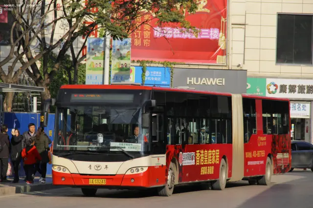 800BUS