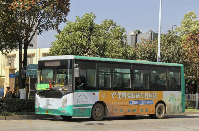 800BUS