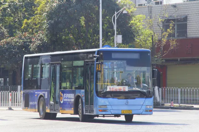 800BUS