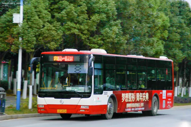 800BUS