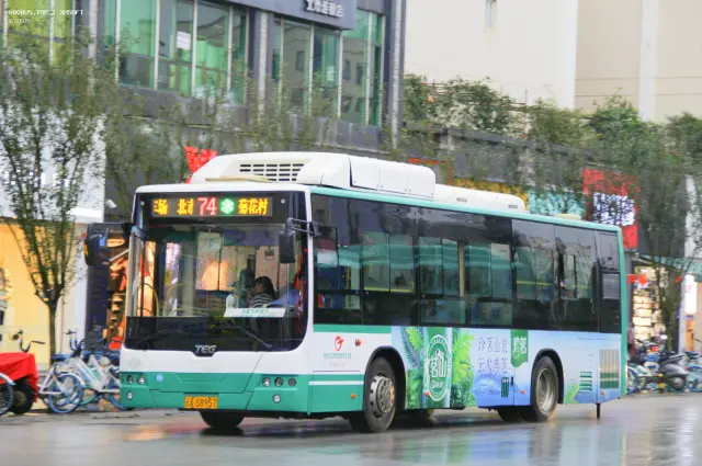 800BUS