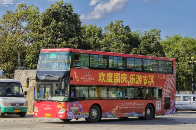 800BUS