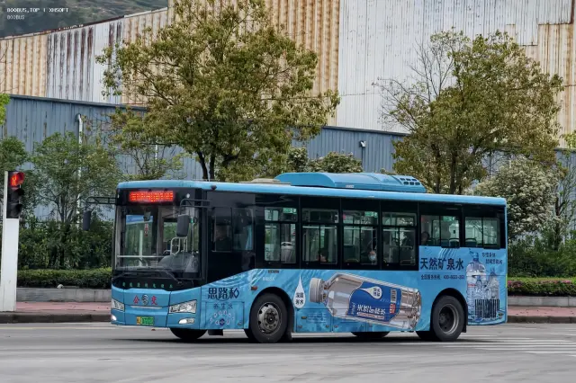 800BUS