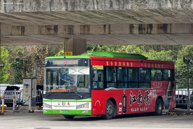 800BUS