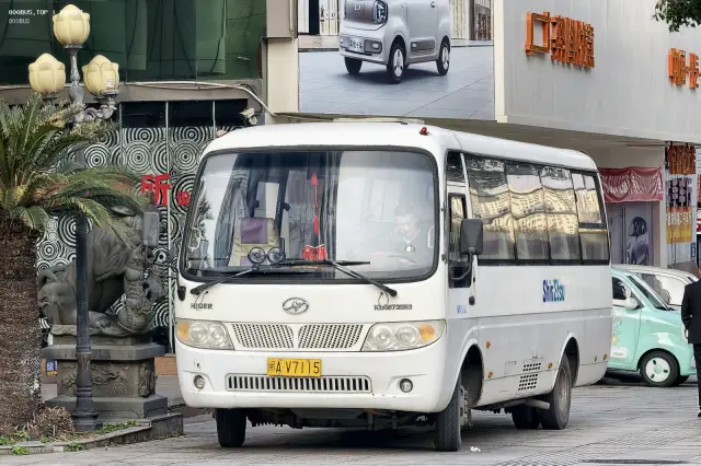 800BUS