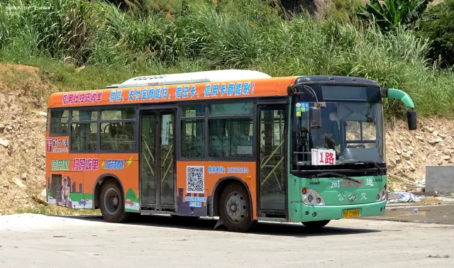 800BUS