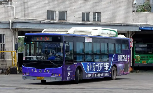 800BUS
